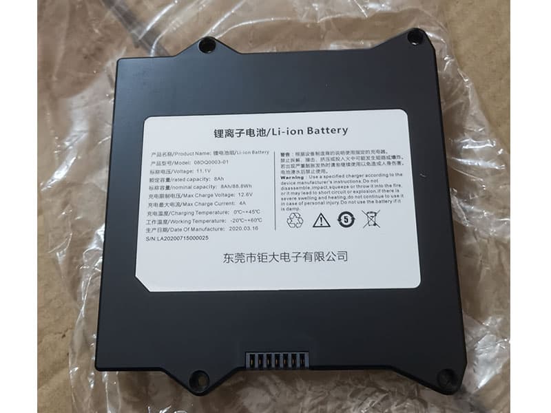 LARGE 08DQ0003-01