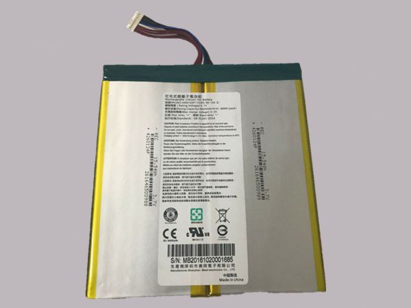 Acer 4260124P