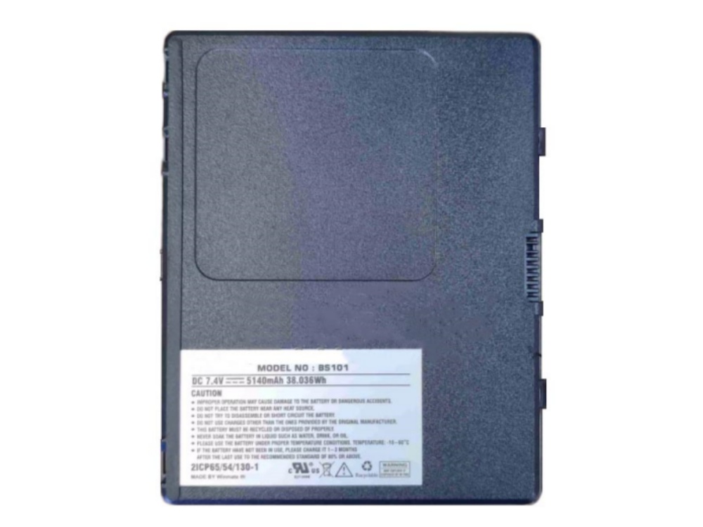 WINMATE BS101