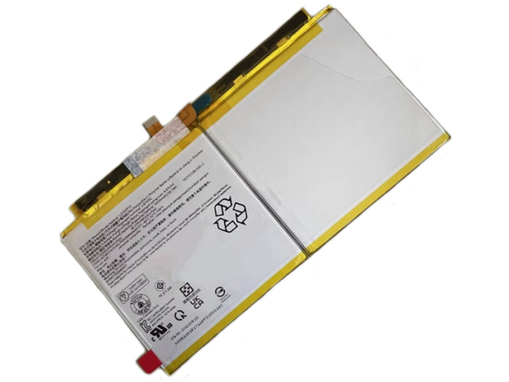 LENOVO L21D2P31