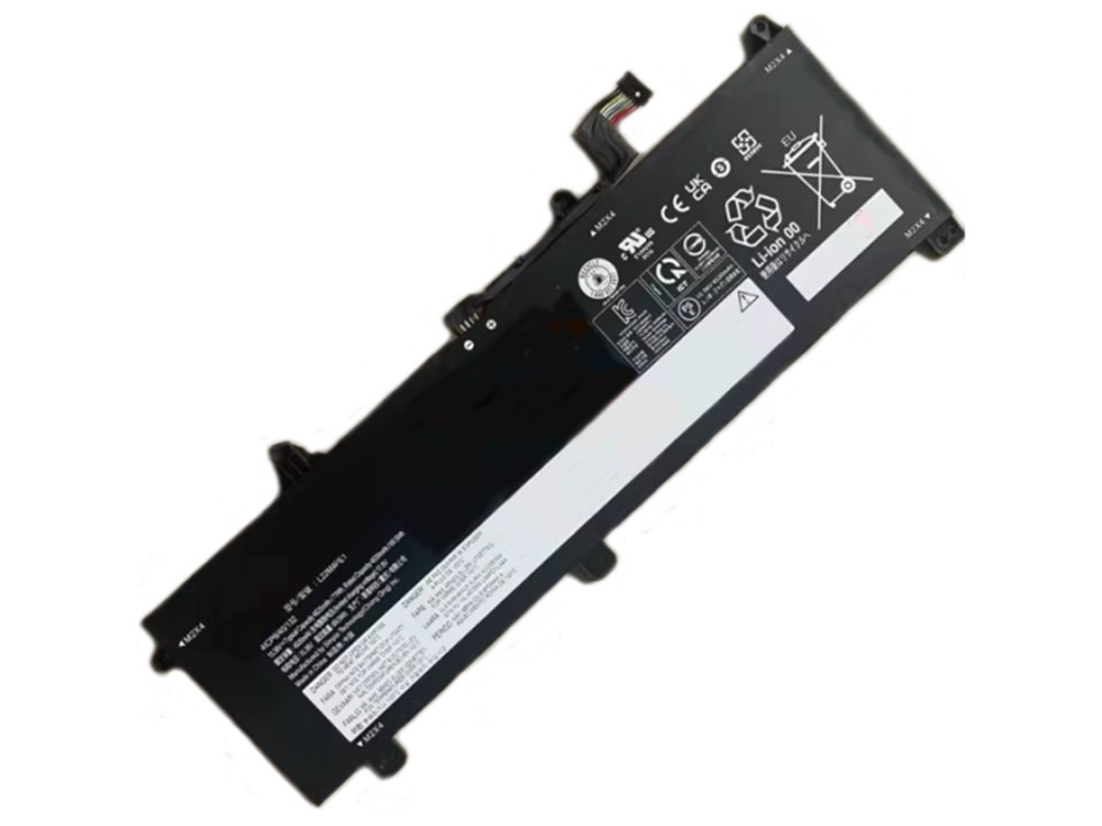 LENOVO L22M4PE1