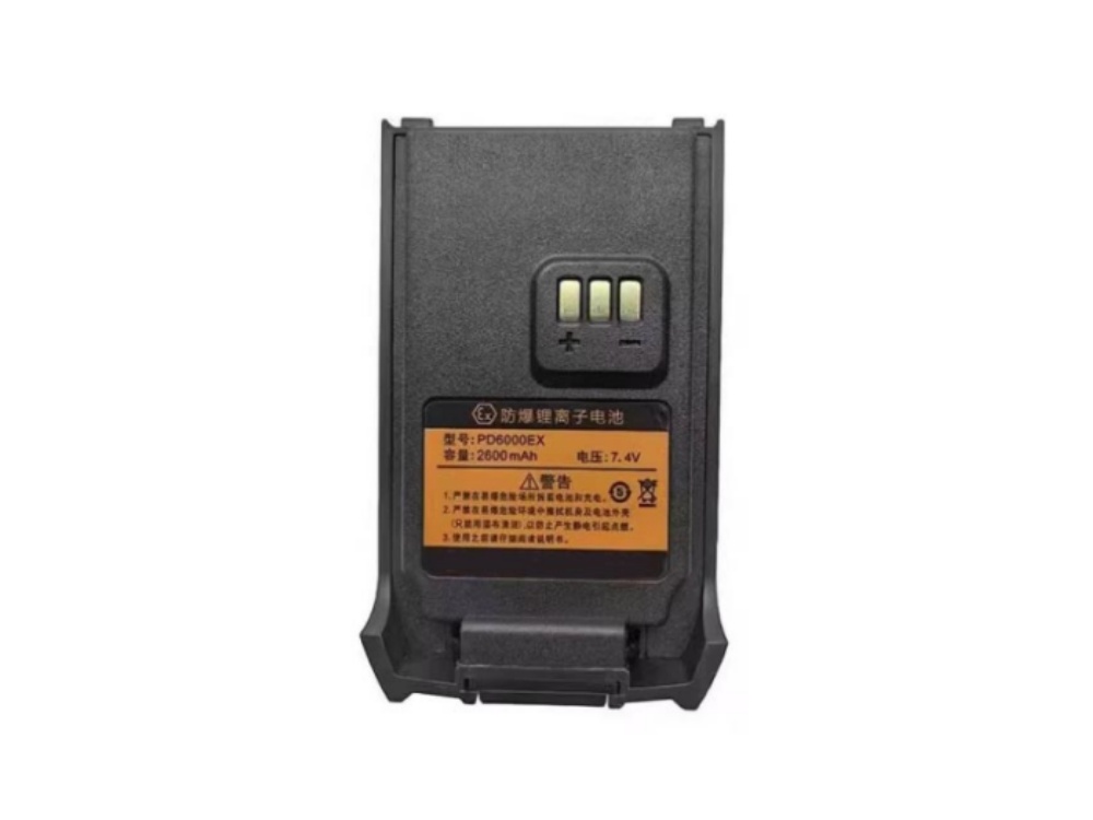 HAIWANG PD6000EX