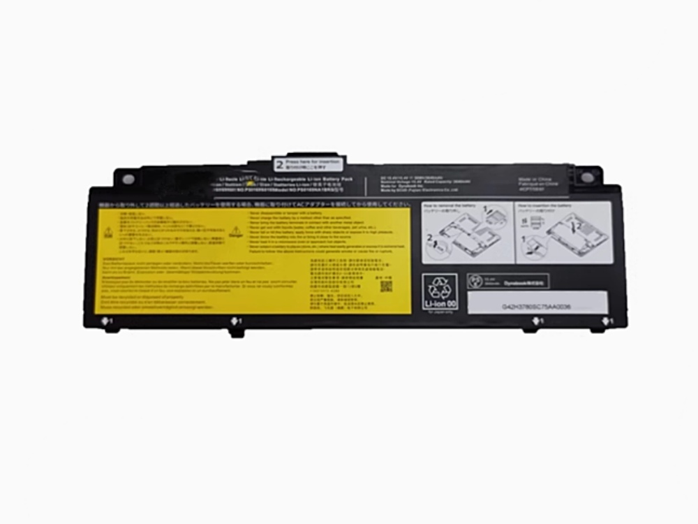 DYNABOOK PS0169NA1BRS
