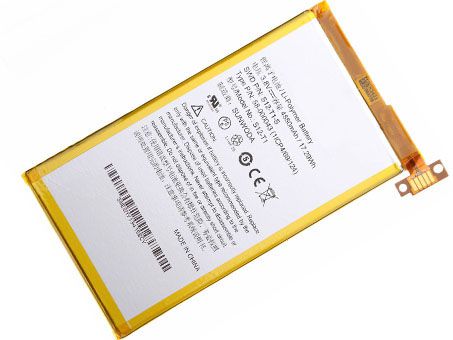 Amazon 58-000043
