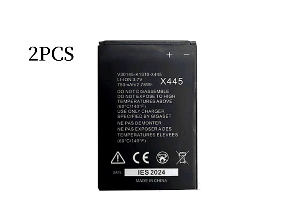 GIGASET V30145-K1310-X445