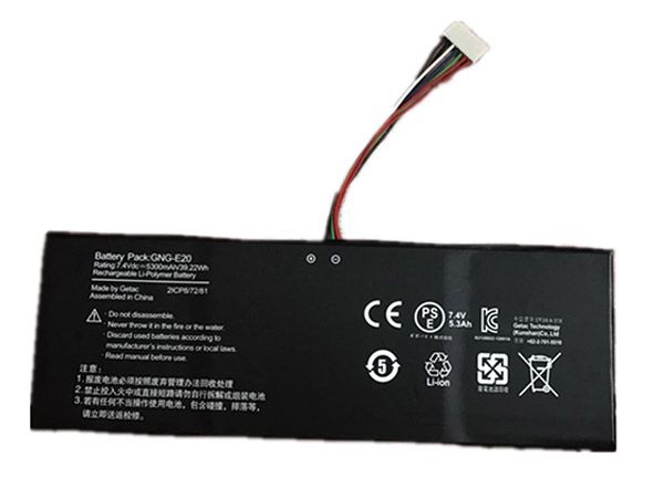 Gigabyte GNG-E20