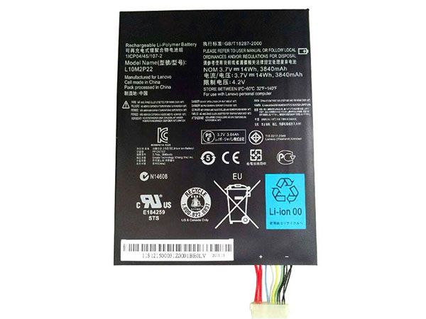 Lenovo L10M2P22