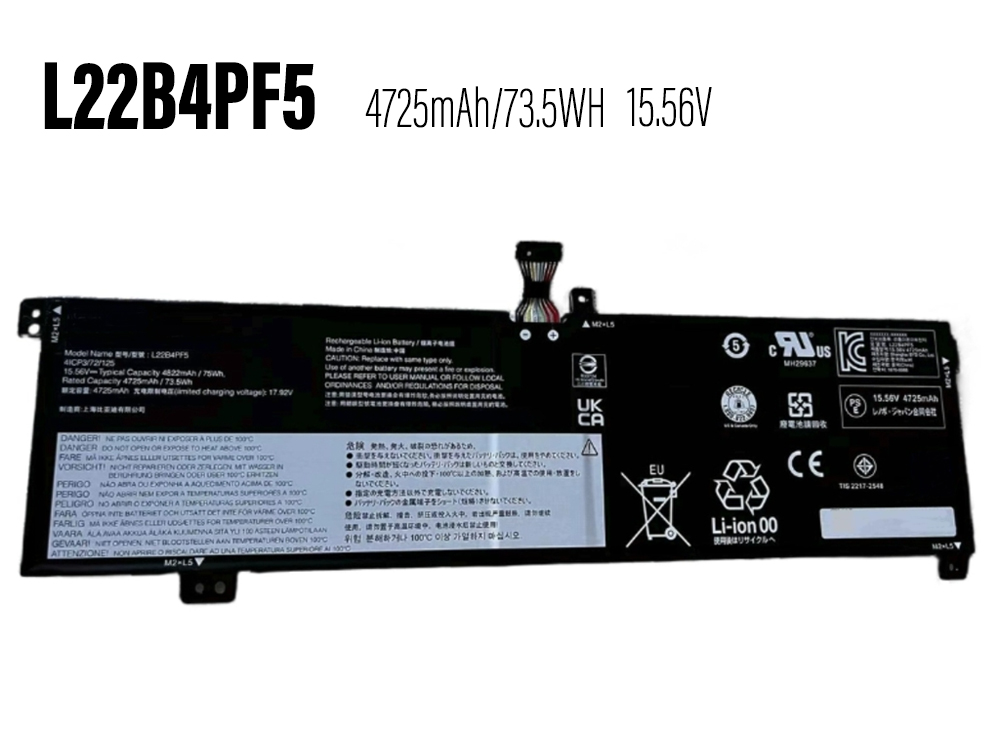 Lenovo L22B4PF5 L22B4PF5