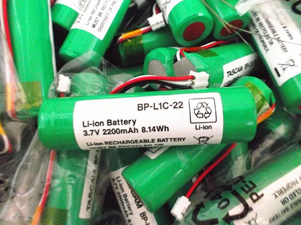 TASCAM BP-L1C-22 p_BP-L1C-22